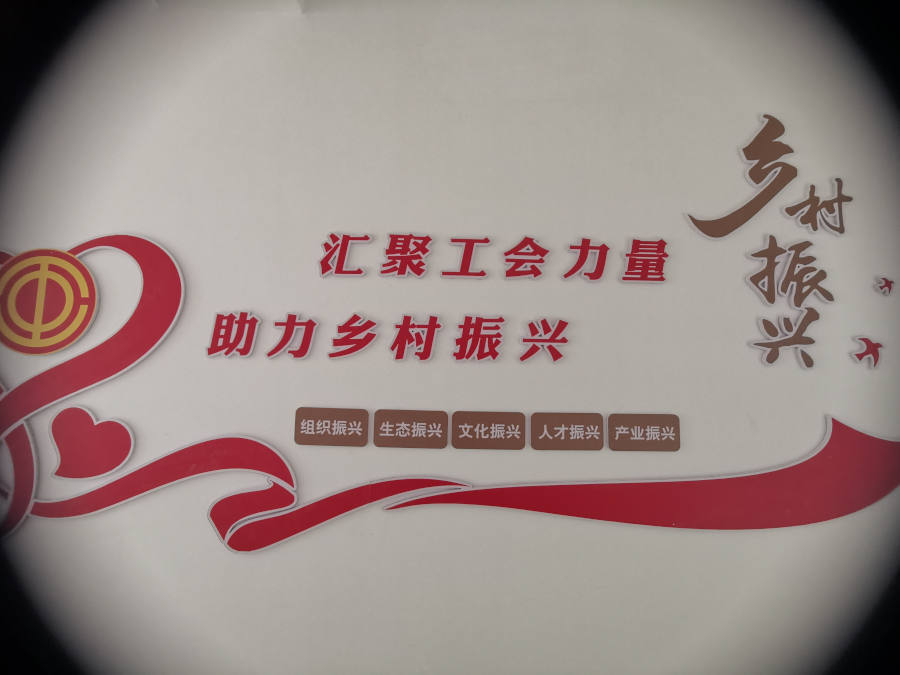 蚂蚁体育 487e5