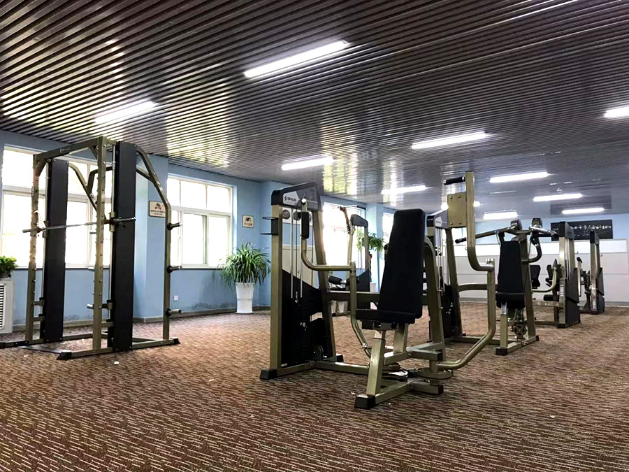 蚂蚁体育官方网站图片