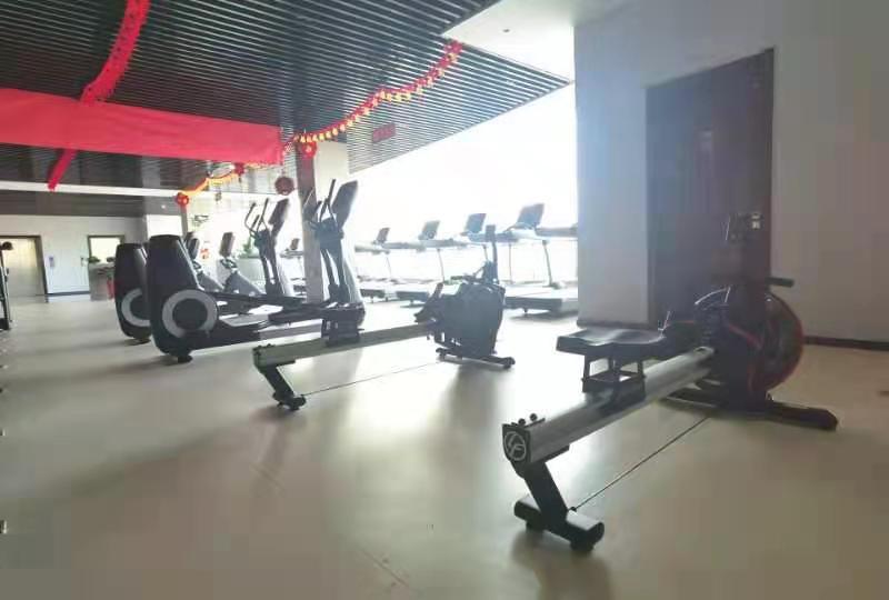 蚂蚁体育官方网站图片